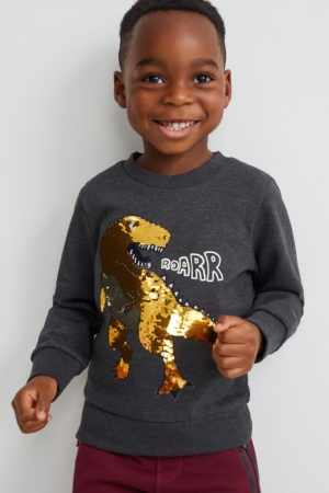C&A Dinosaur Shiny Tröjor Tjej Mörkgrå | AFZYS-3690