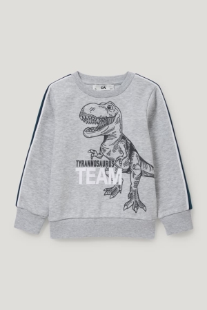 C&A Dinosaur Tröjor Tjej Ljusgrå | RFPLO-9413
