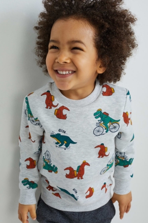 C&A Dinosaur Tröjor Tjej Ljusgrå | SKRGJ-3796