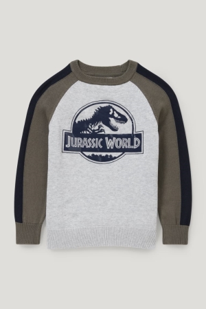 C&A Jurassic World Jumpers Tjej Ljusgrå | DYGWT-7685