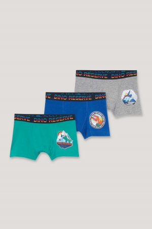 C&A Multipack Of 3 Dinosaur Boxer Organic Bomull Underkläder Pojke Gröna | ANVDP-5976